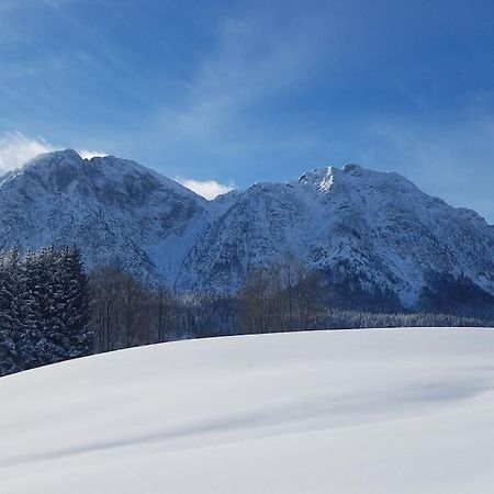 'Dasbergblick' Altaussee Eksteriør billede