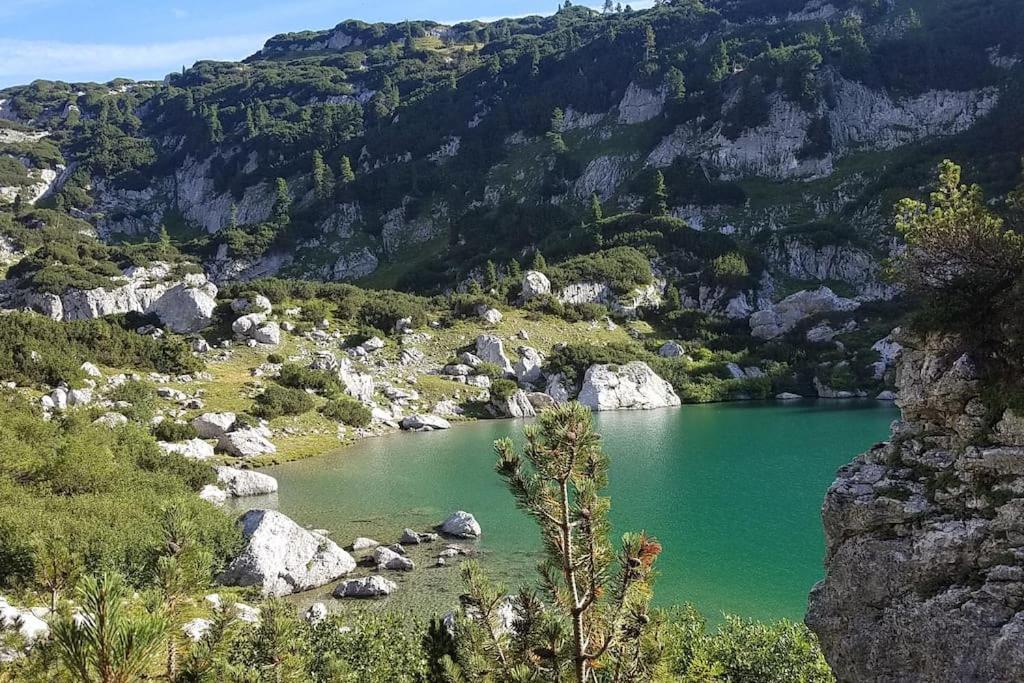 'Dasbergblick' Altaussee Eksteriør billede