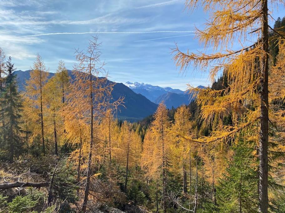 'Dasbergblick' Altaussee Eksteriør billede