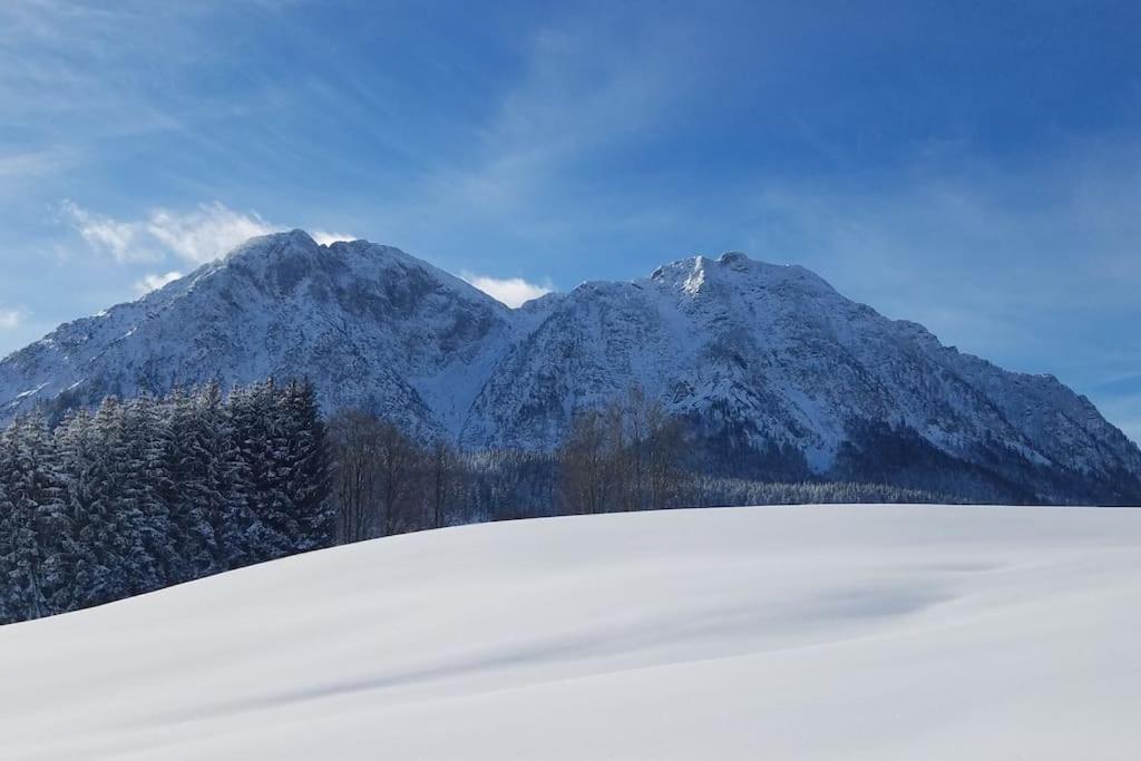 'Dasbergblick' Altaussee Eksteriør billede