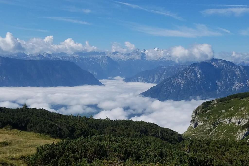 'Dasbergblick' Altaussee Eksteriør billede